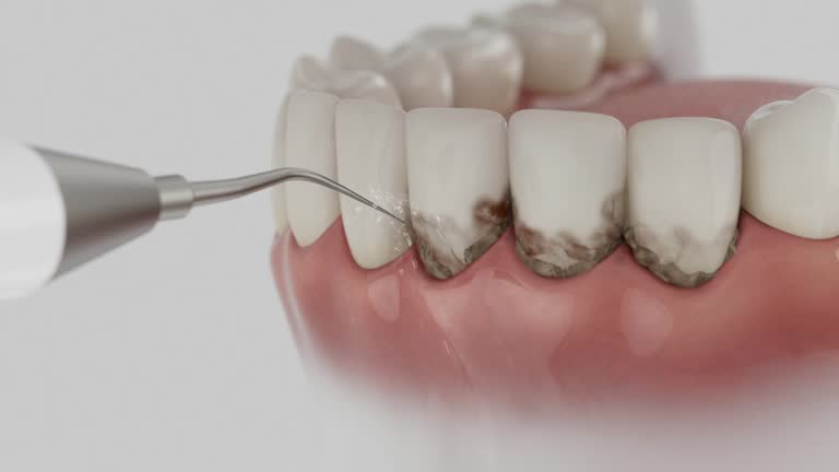 Reliable Dental contractor in Nacogdoches, TX by Dentist Open Now